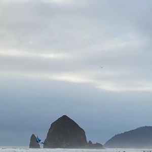 Meet your Posher, Dara-von